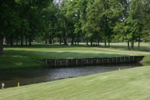 Golf Course greens